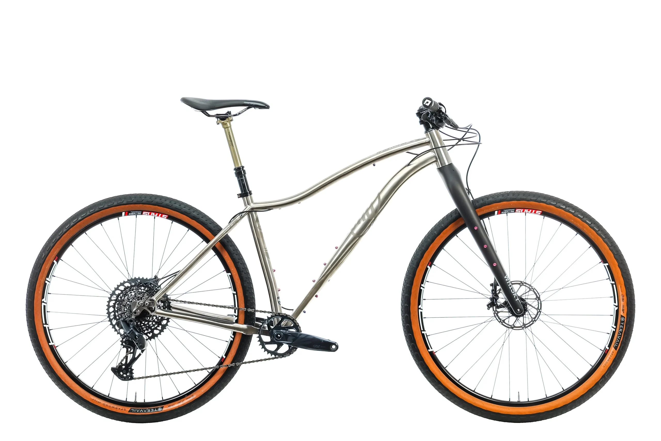 Why Cycles Wayward V.2 Mountain Bike - 2020, Large