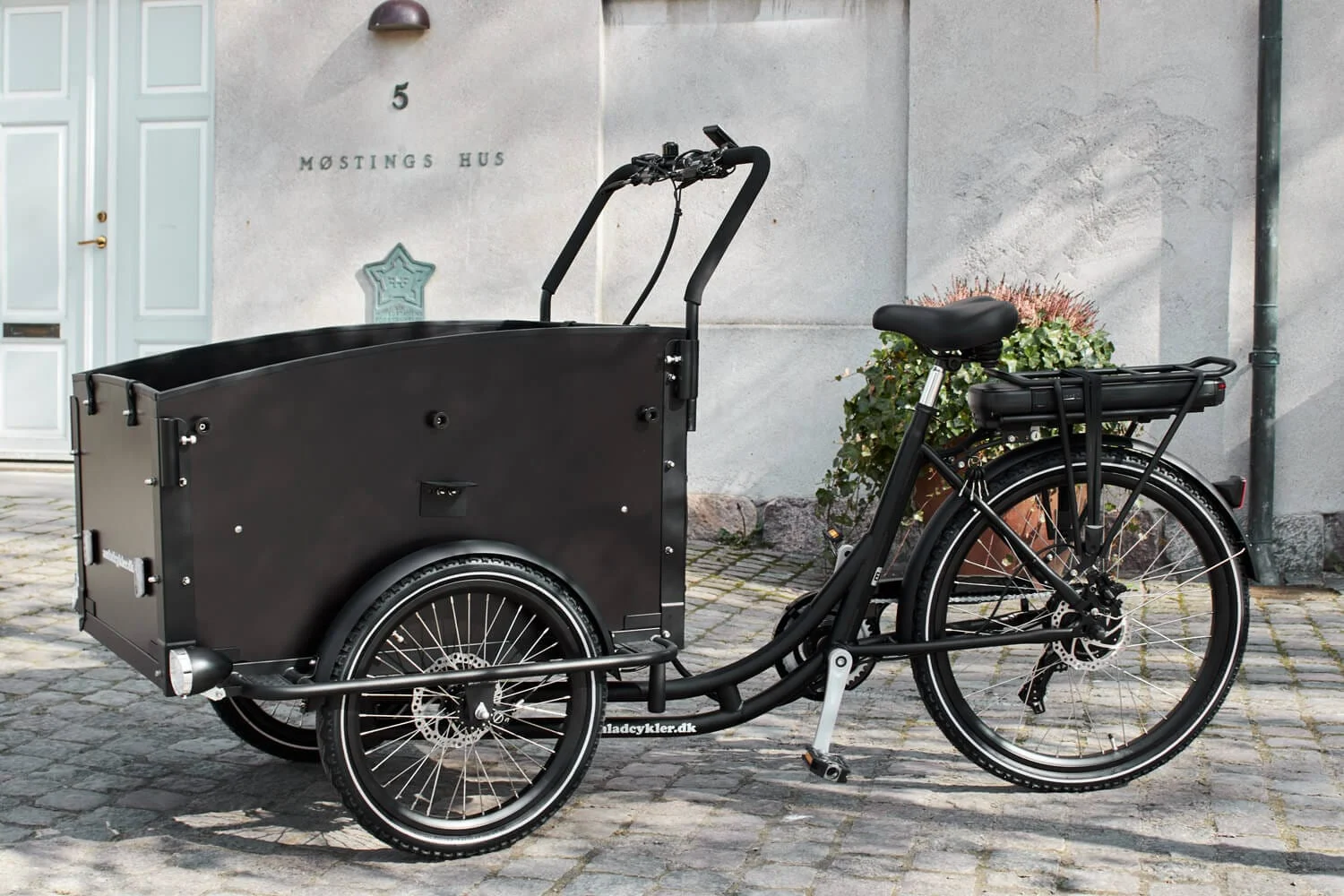 AM Cargo Ultimate Curve Electric Trike