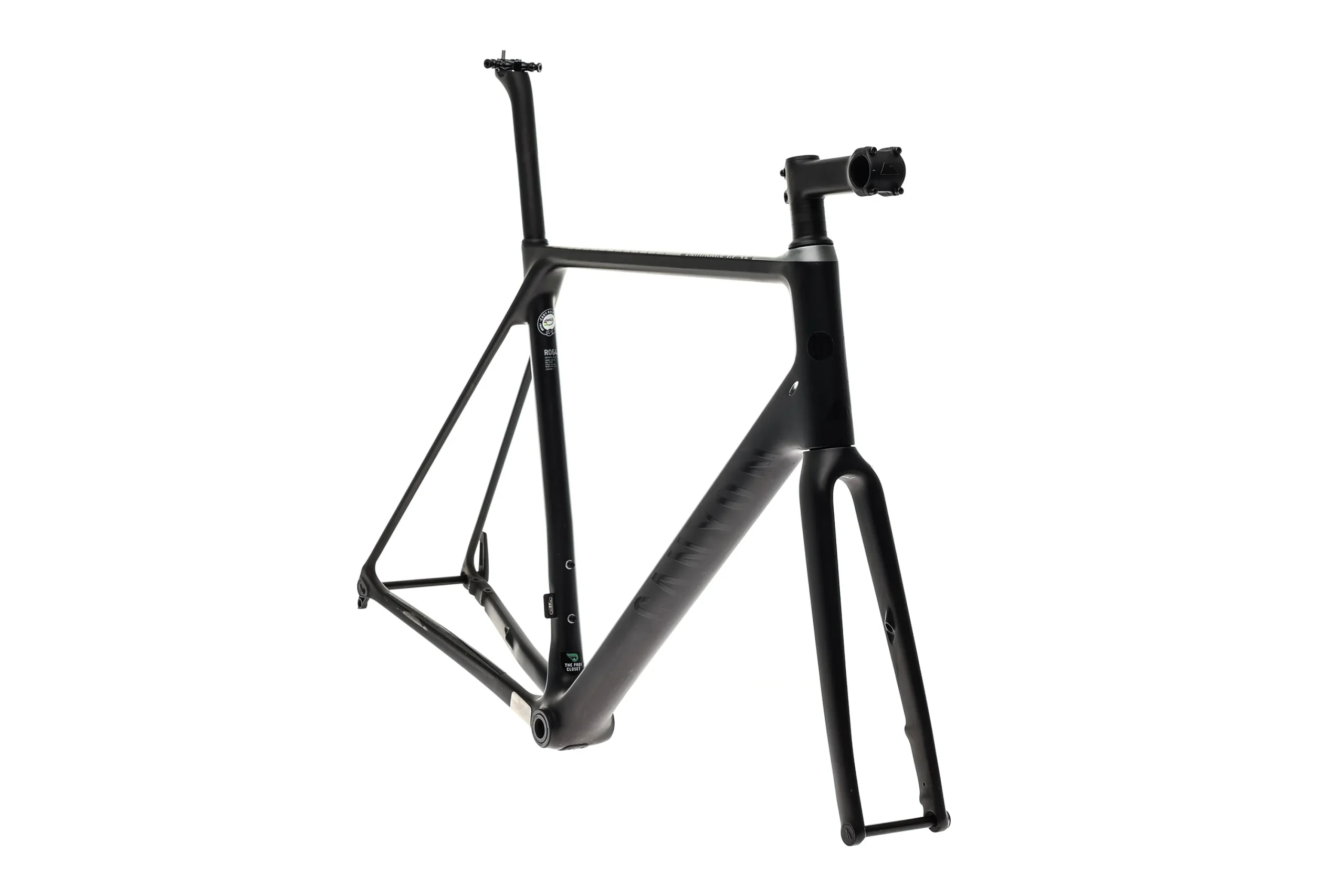 Canyon Endurace CF SL Disc X-Large Frameset - 2018