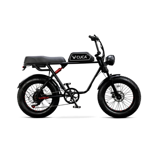 Cuca All Roads Electric Bike