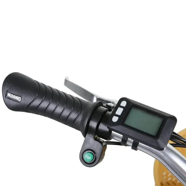 Display for Camel 2/ Classic 2/Elegance 2/Mini cruiser 2/ Ranger 2/Cruiser 2