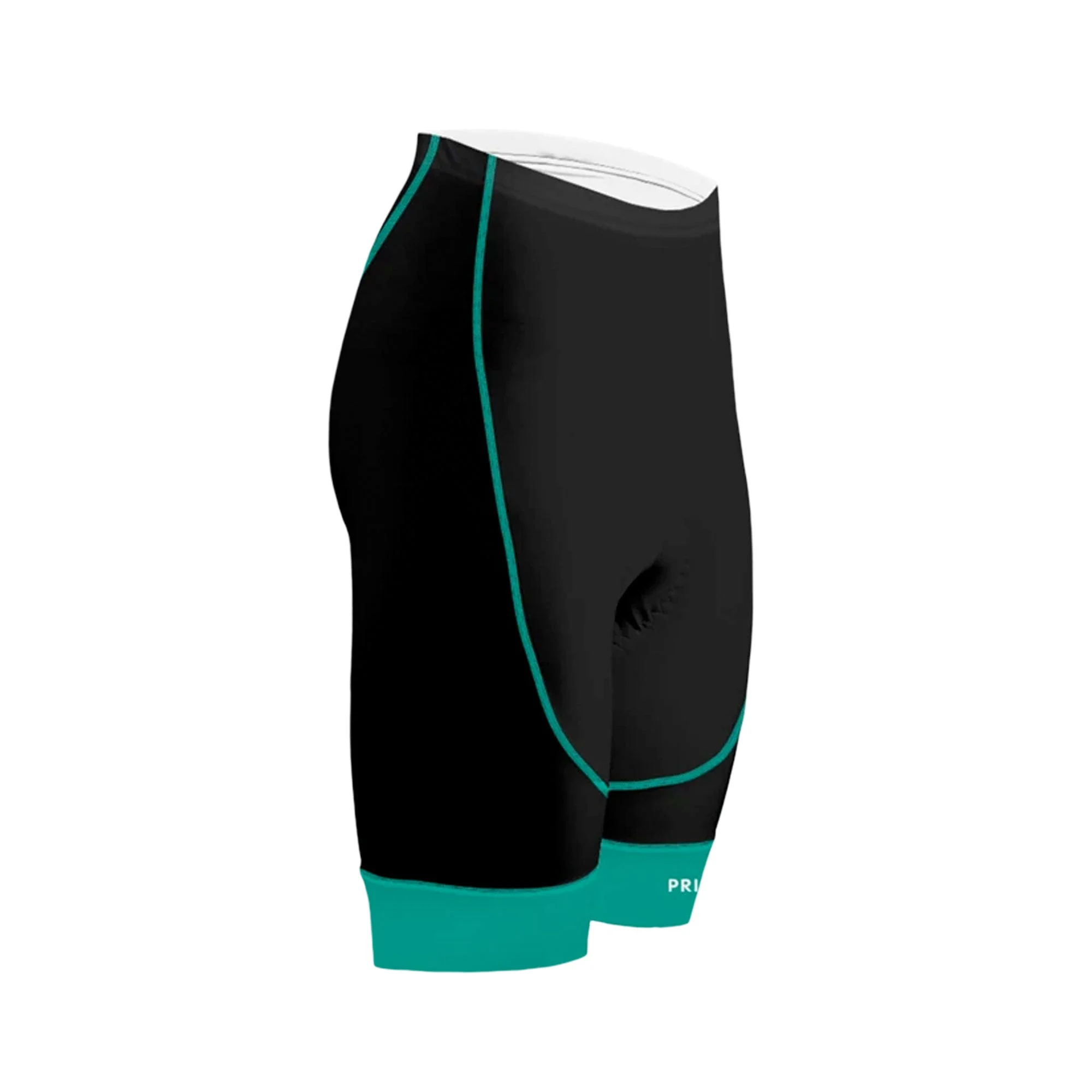 Ebony Women's Teal Evo 2.0 Shorts
