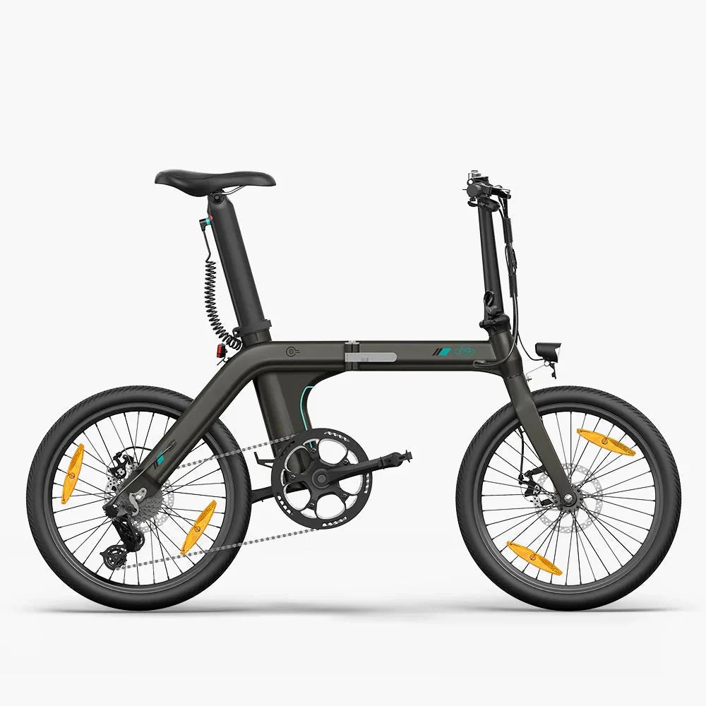 Fiido D21 Folding Electric Bike With Torque Sensor