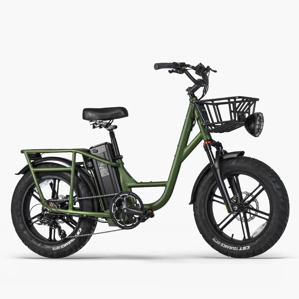 Fiido T1 Pro Utility Electric Bike