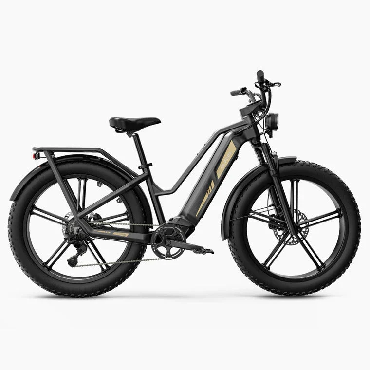 Fiido Titan Robust Cargo Electric Bike With Torque Sensor