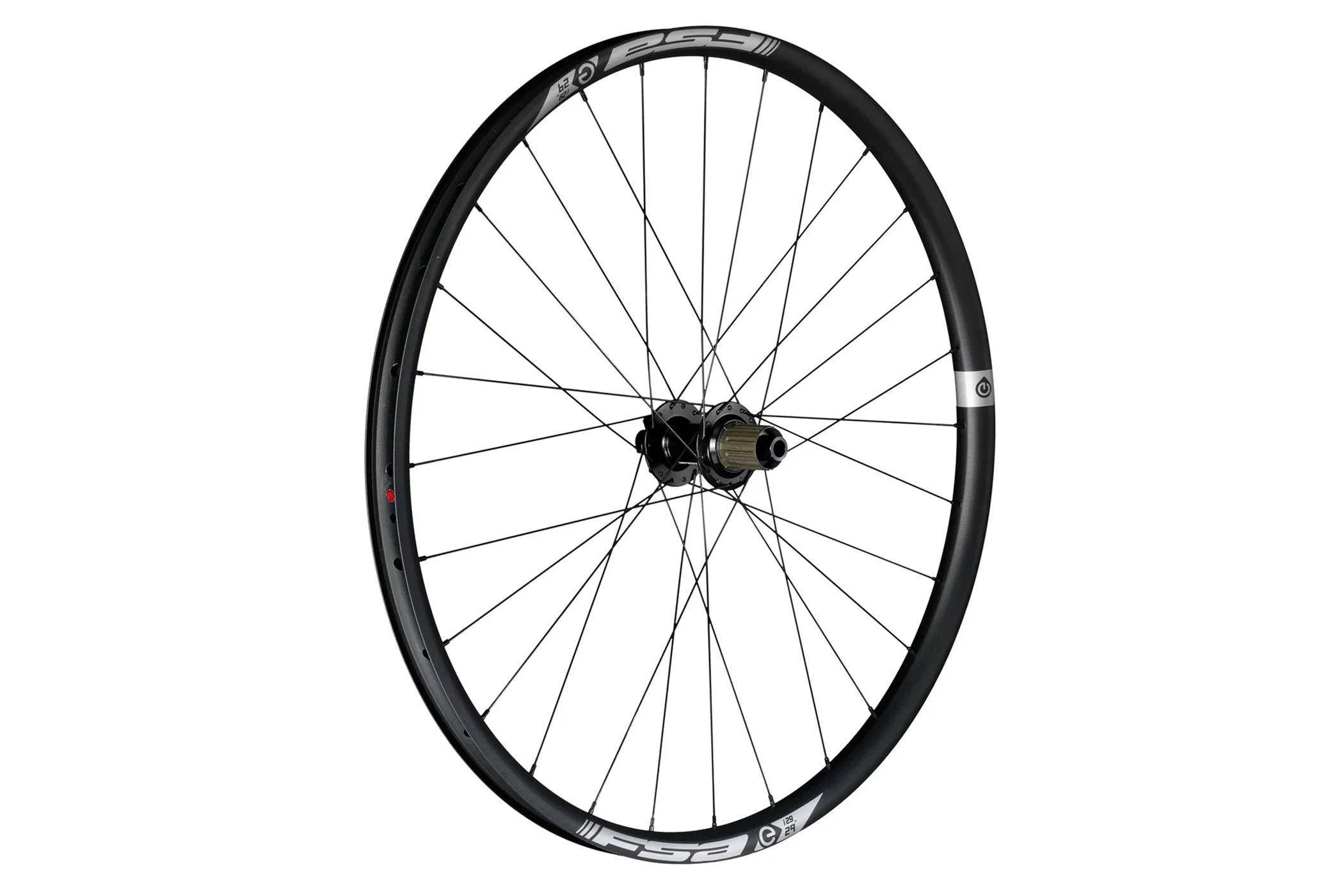 FSA E-MTB Boost Alloy Tubeless 29" Rear Wheel