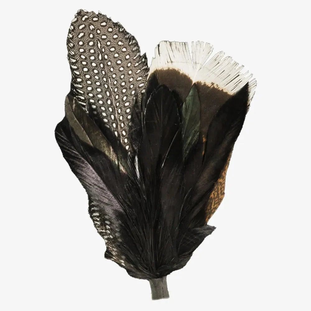 Genesis | Black Hat Feather