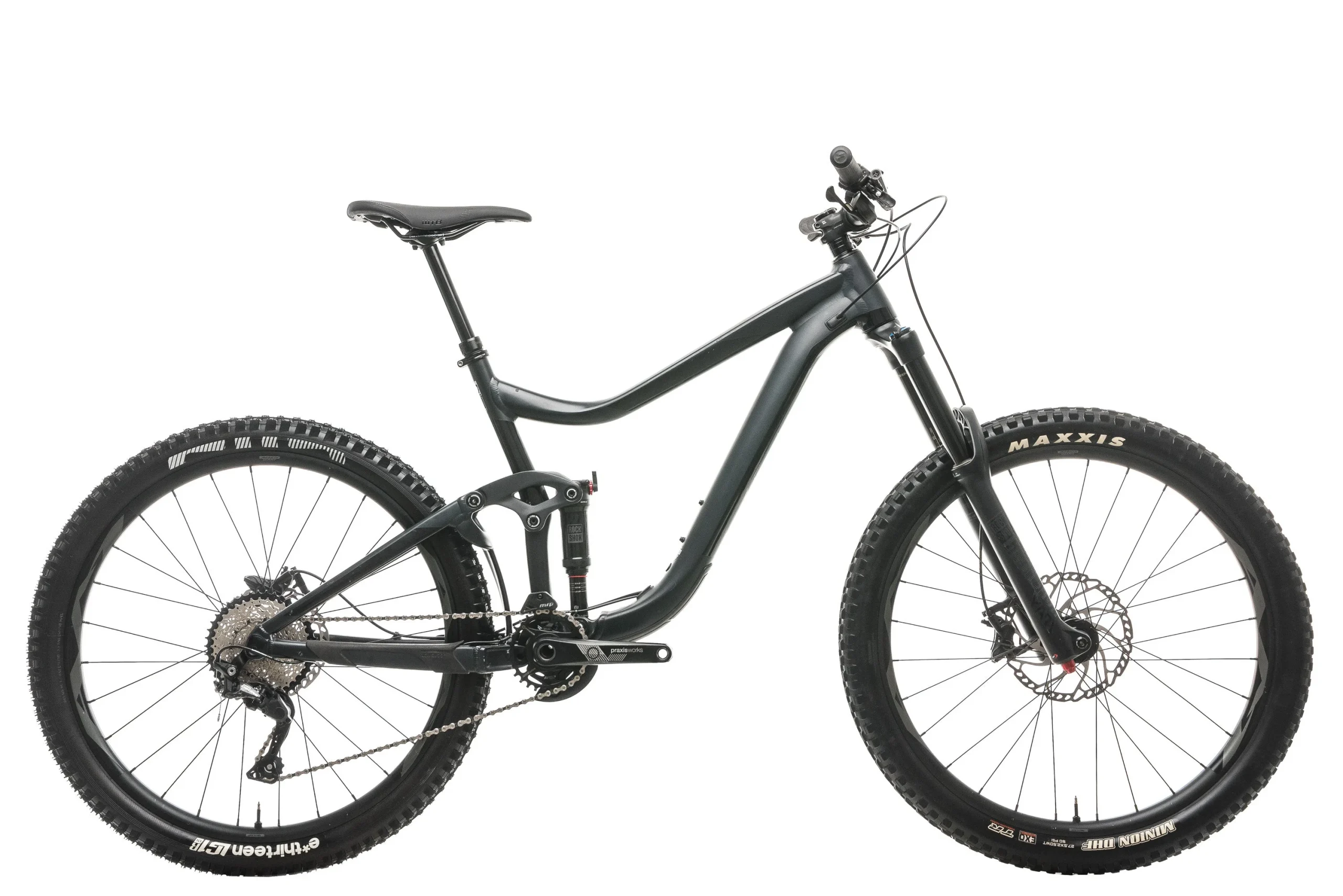 Giant Reign 2 Mountain Bike - 2019, Large