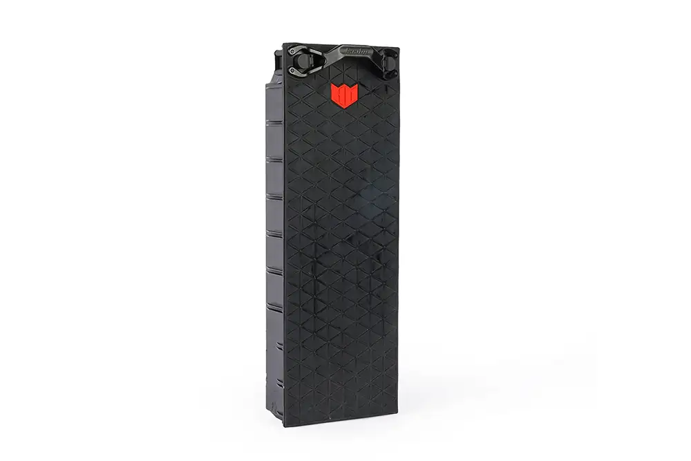Kaabo Wolf King GTR Battery