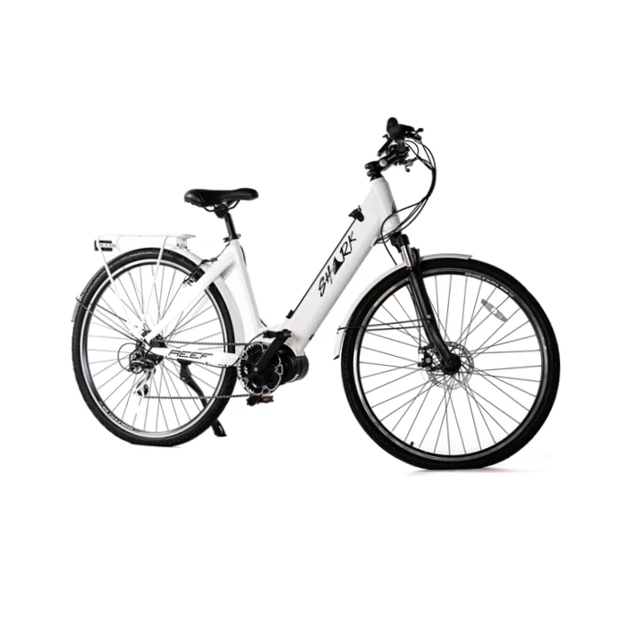 Shark Reef Electric Bike