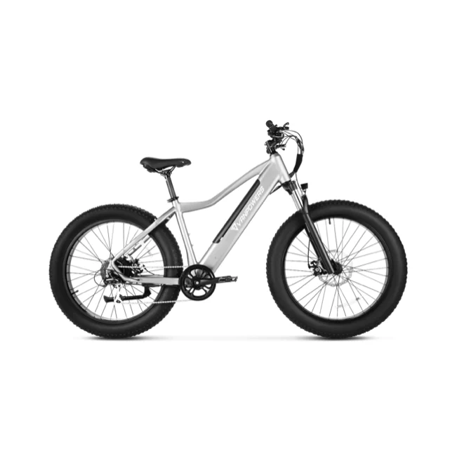 Vanpowers Manidae Electric Bike