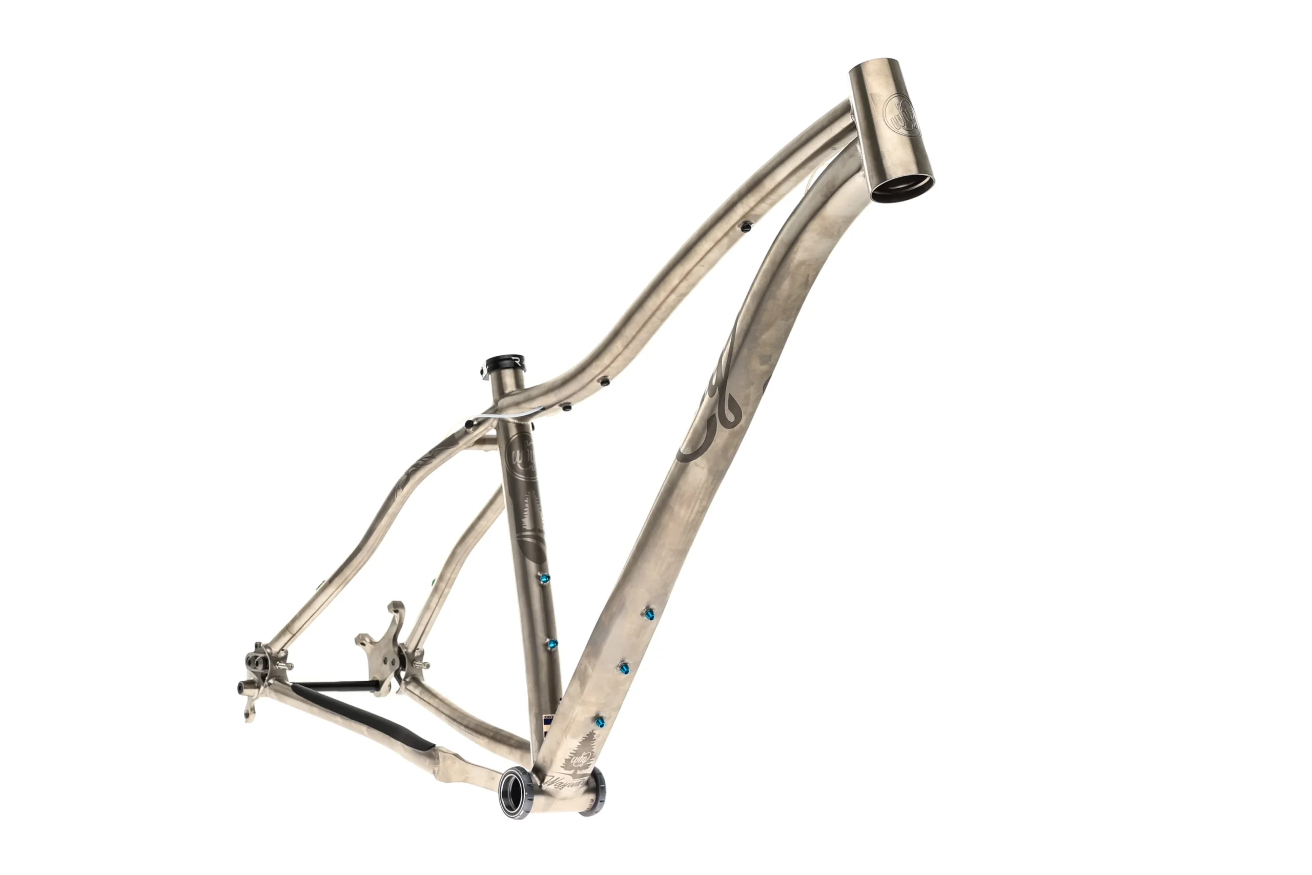 Why Cycles Wayward V.2 Medium Frame